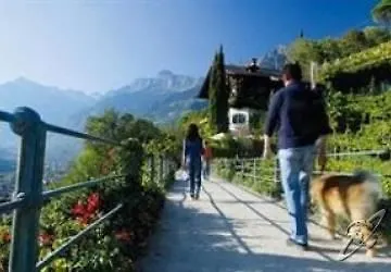 Tappeiner Отель